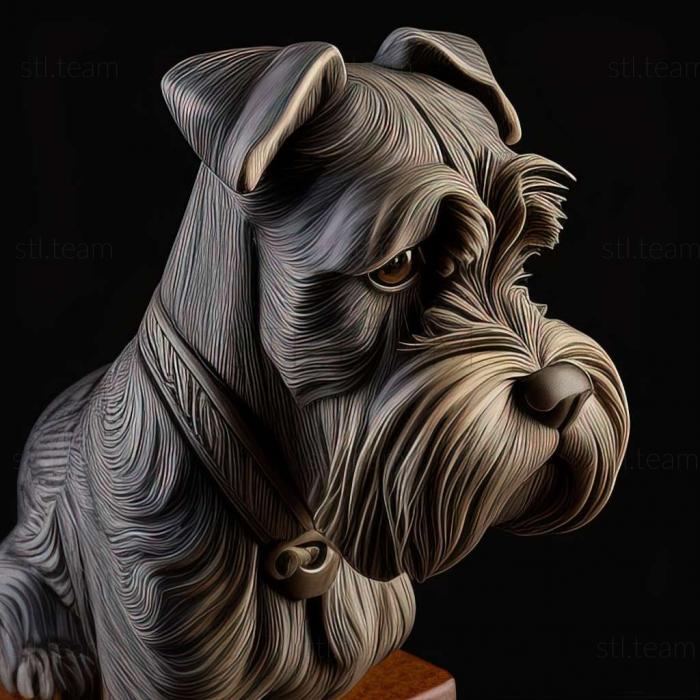 Zwergschnauzer dog